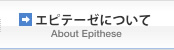 エピテーゼについて